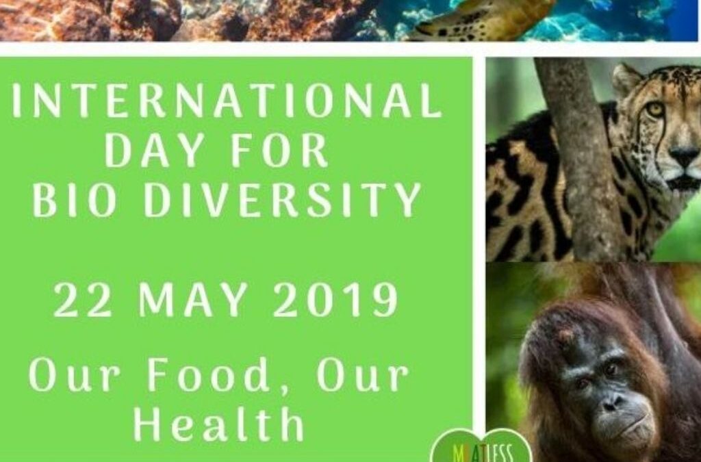 International Bio Diversity Day 2019 – Food, Health