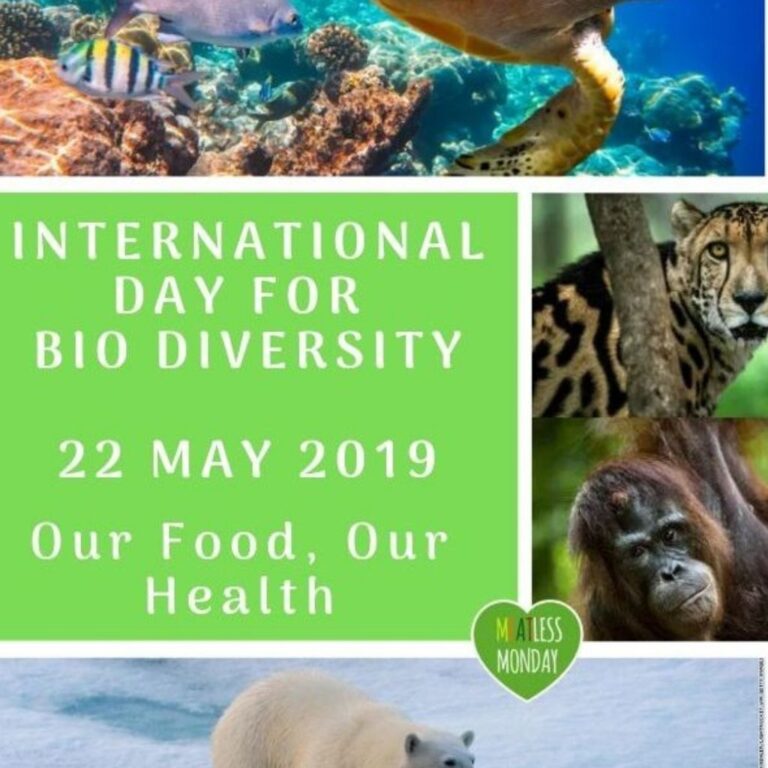International Biodiversity Day 2019 – Food, Health
